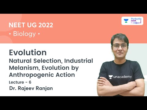 Evolution | Natural Selection, Industrial Melanism, Evolution by Anthropogenic Action | L6 | Rajeev