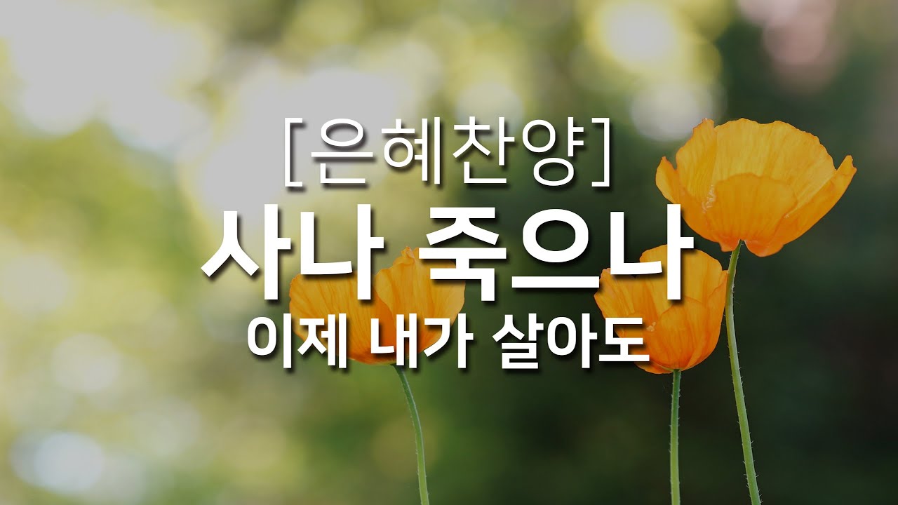 [복음성가연속듣기] 사나 죽으나(이제 내가 살아도)_하루찬양( 중간광고 없음, 은혜찬양 연속듣기 )