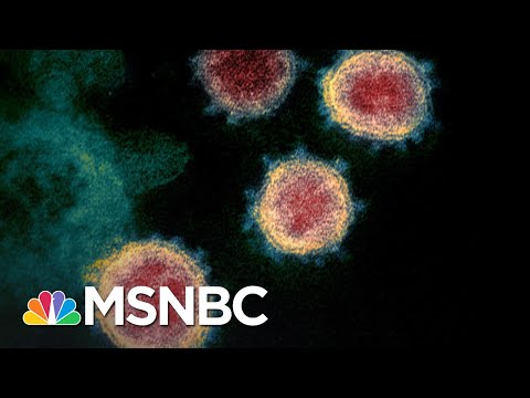 Mutations May Cause Covid Surge If Vaccines Can't Stop Them | The 11th Hour | MSNBC