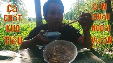 Câu Cá Chốt Về Kho Tiêu Ăn Bữa Cơm Chiều||Tánh vlog