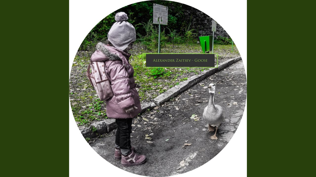 Watch Goose on YouTube Watch Goose on YouTube