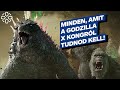 Ki ez az j ellenfl mirt rzsasznek godzilla pikkelyei honnan szerezte kong a vasklt