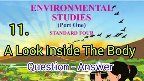 A Look Inside The Body | Lesson 11 | STD - 4 | EVS - 1| Question - Answer | MH Board |English Medium
