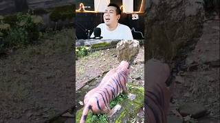 The Head Of The Tiger Statue Is So Weird harimaumalaya reaction fyp eldanboy