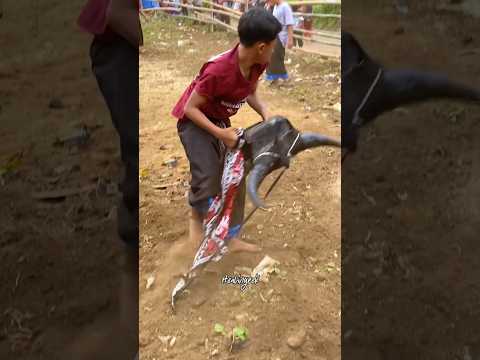 SULUK KALAPAN SEREMMM x LESTARI 👹 CONDRO WASESO MAHASURO remixer by @DjBendhot