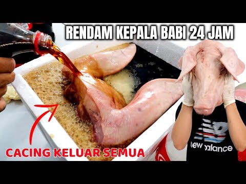 Video: Babi Rebus Dalam Bir