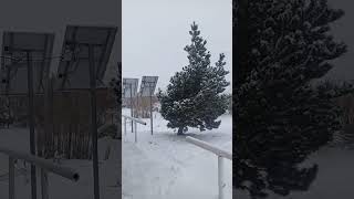 Paso Roballos, Santa Cruz, Argentina 🇦🇷 #yosoydelos7mil