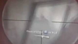 triple collateral damage headshot