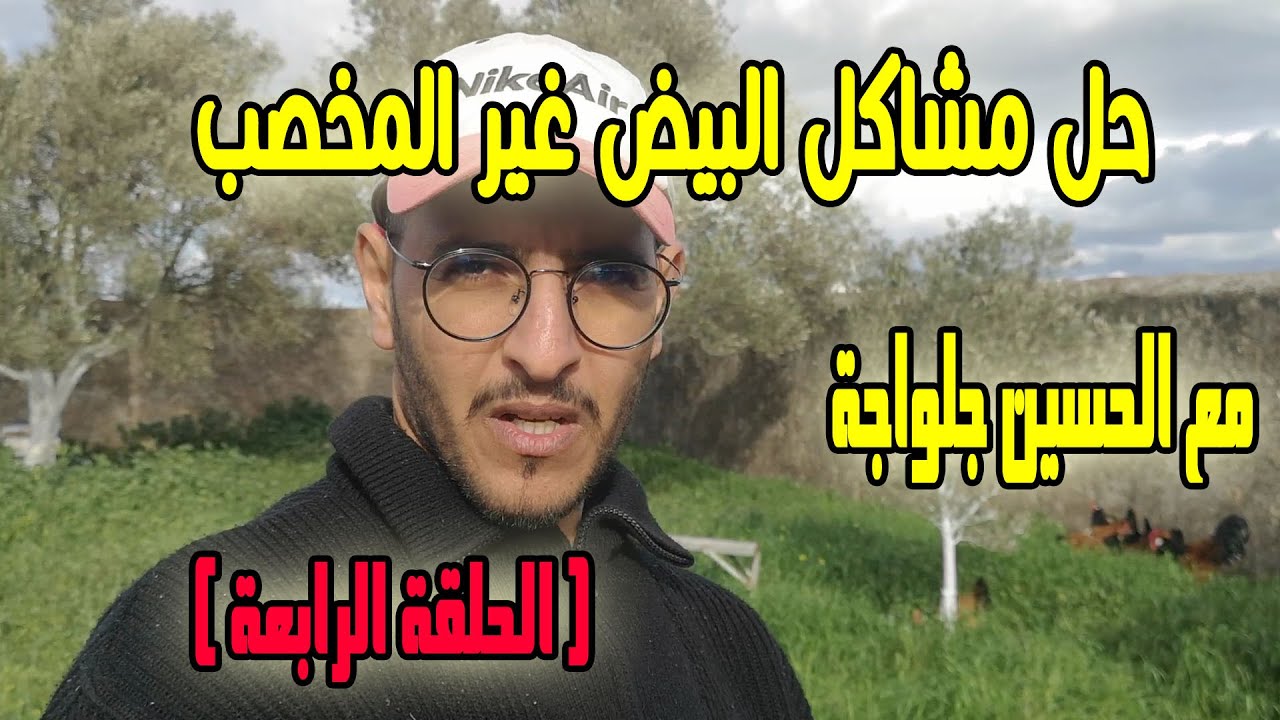 مشروع تربية الدجاج - حل مشكل عدم تخصيب البيض المشكل والحل الحلقة الرابعة مع الأخ حسين جلواجة