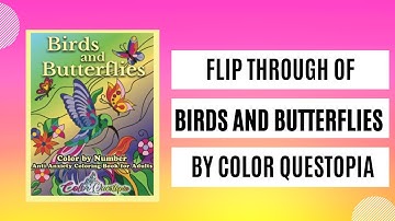 Flip Through of Birds and Butterflies by Color Questopia