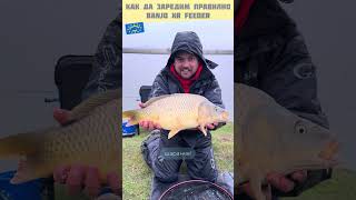 Риболов с method feeder #mftackle #fishing #methodfeederfishing #feederfishing #carpfishing