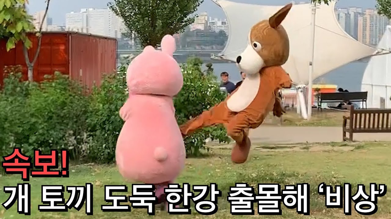 인형탈 몰카 3탄) 한강에서 친근한척 물건을 훔쳐가본다면?ㅋㅋㅋㅋ시민들 반응봨ㅋㅋㅋㅌㅋㅋㅋㅋ