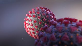 Why Virginia is ending contact tracing amid omicron variant