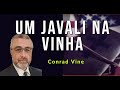 Um Javali na Vinha - Pr. Conrad Vine