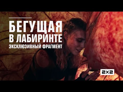 Фильм «Бегущая в лабиринте» в прокате с 1 июля. Эксклюзивный фрагмент