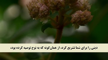 جز 25 ( سوره شوری از آیه 11 تا 15 ) با ترجمه فارسی صوتی و تصویری