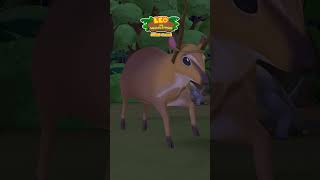 A Deer with Fake Antlers?! 🦌 | Leo the Wildlife Ranger | #shorts #education #kids