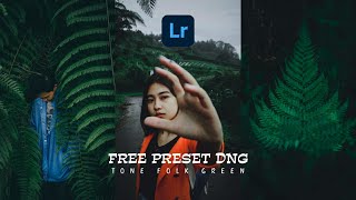 Free preset DNG lightroom mobile // TONE FOLK GREEN screenshot 3