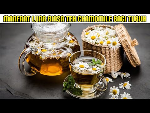 Video: Daisy umum - chamomile biasa dengan sifat yang tidak biasa