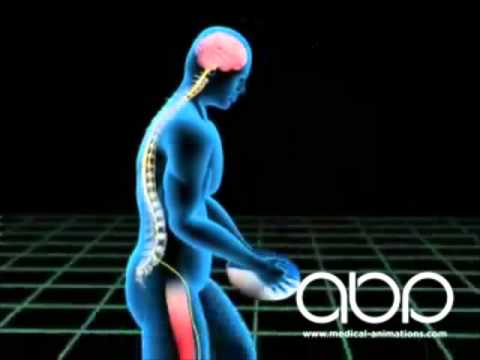 How the Motor Area of the Brain Works - 3D Medical Animation || ABP © - YouTube