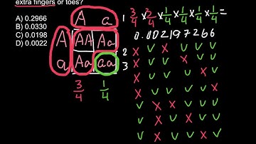How to solve probability problems in genetics (Logical method)