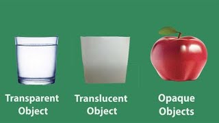 TRANSPARENT TRANSLUCENT OPAQUE OBJECTS / Science for kids screenshot 4