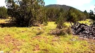 1311 E Utopia Trail video tour