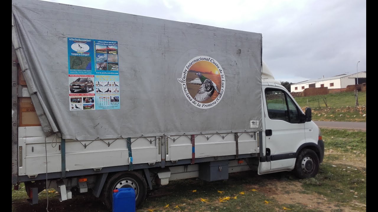 Sueltas Oeste Valencia (Lobon VF610)