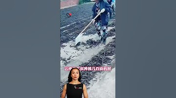 #fcnfm Transform Your Food Processing with Our Reliable Drying Technology