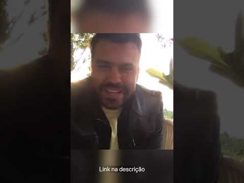 A festa do