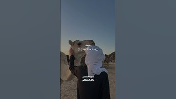 ولسوف يعطيك ربك فترضى||سورة الضحى#ماهر_المعيقلي