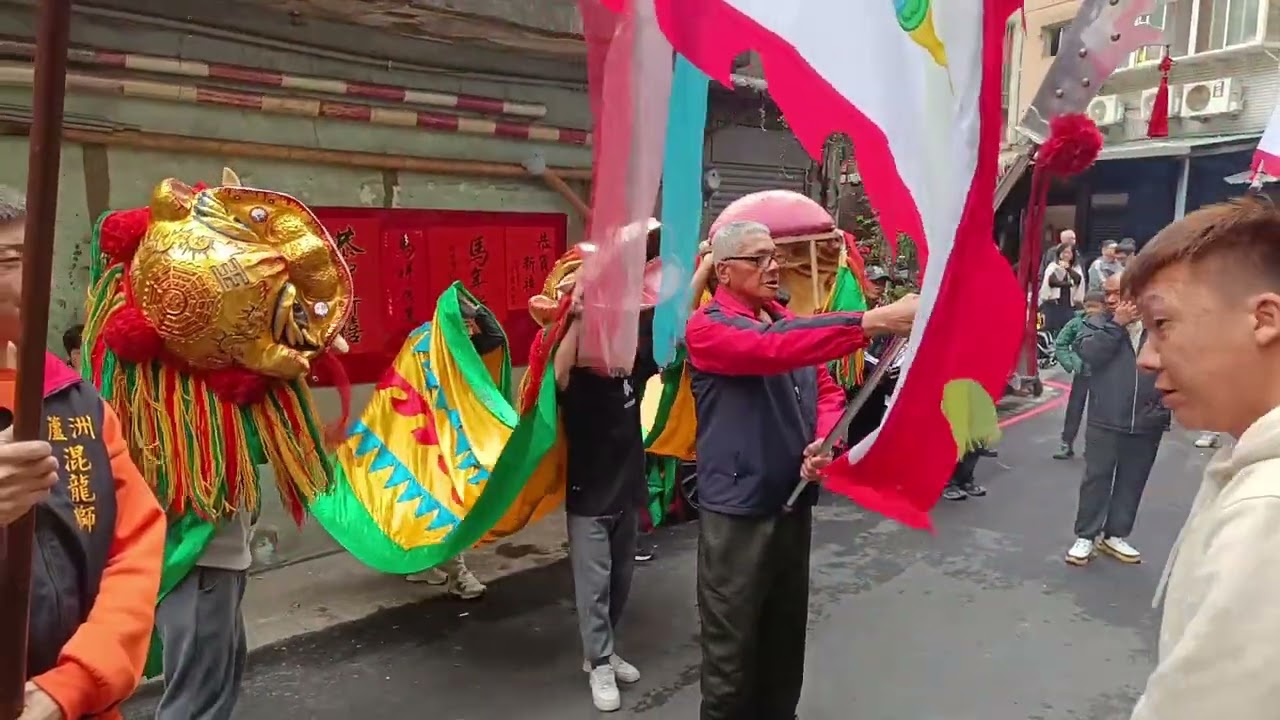 蘆洲混龍獅行春遶境