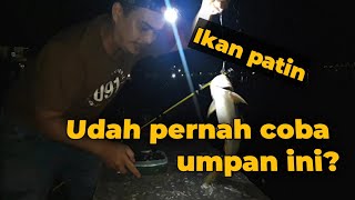 Umpan jitu ikan patin malam hari