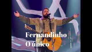 Fernandinho o único