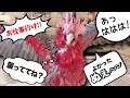 誰が教えた!?オウムが突然新しい言葉を喋り始めましたww【モモイロインコ】