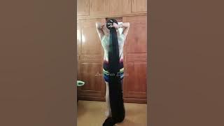 Download lagu Long Hair Expose Website