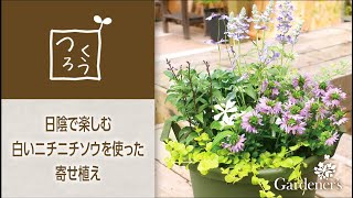 初夏の寄せ植え3分レシピ 白いニチニチソウを使った日陰で楽しむ寄せ植え Youtube