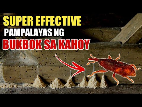 Video: 4 na Paraan upang Tanggalin ang Mga Pula ng Alak mula sa Wooden Floors o Countertop