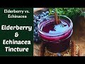 Elderberry & Echinacea Tincture (When to Take Them and Why They are So Great for You)