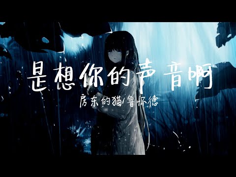 “你快听 滴答滴 滴答滴 滴答滴 是雨滴的声音”《是想你的声音啊》房东的猫/鲁怀德