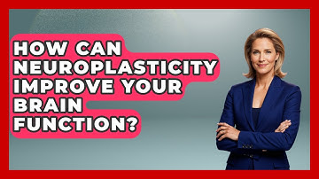 How Can Neuroplasticity Improve Your Brain Function? - Brain Development Hub