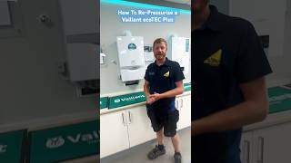 How to fix a  F22 a Vaillant ecoTEC Plus