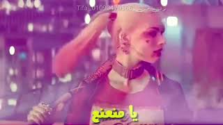 حالة واتس *مهرجان الفرحه المنتظره 2019* شواحه حلقولو