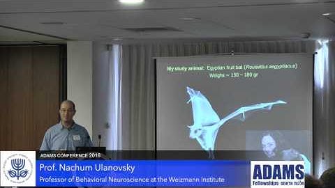 Prof. Nachum Ulanovsky - “Towards a Natural Neuroscience of Navigation in Bats"