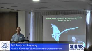 Prof. Nachum Ulanovsky - “Towards a Natural Neuroscience of Navigation in Bats