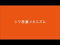 シワを改善するメカニズム篇ポーラ　リンクルショット　サイエンス理解動画「シワを改善するメカニズム篇」篇 | ポーラ