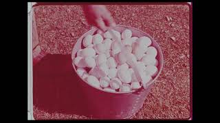 Ovaltine Factory and Farms Footage