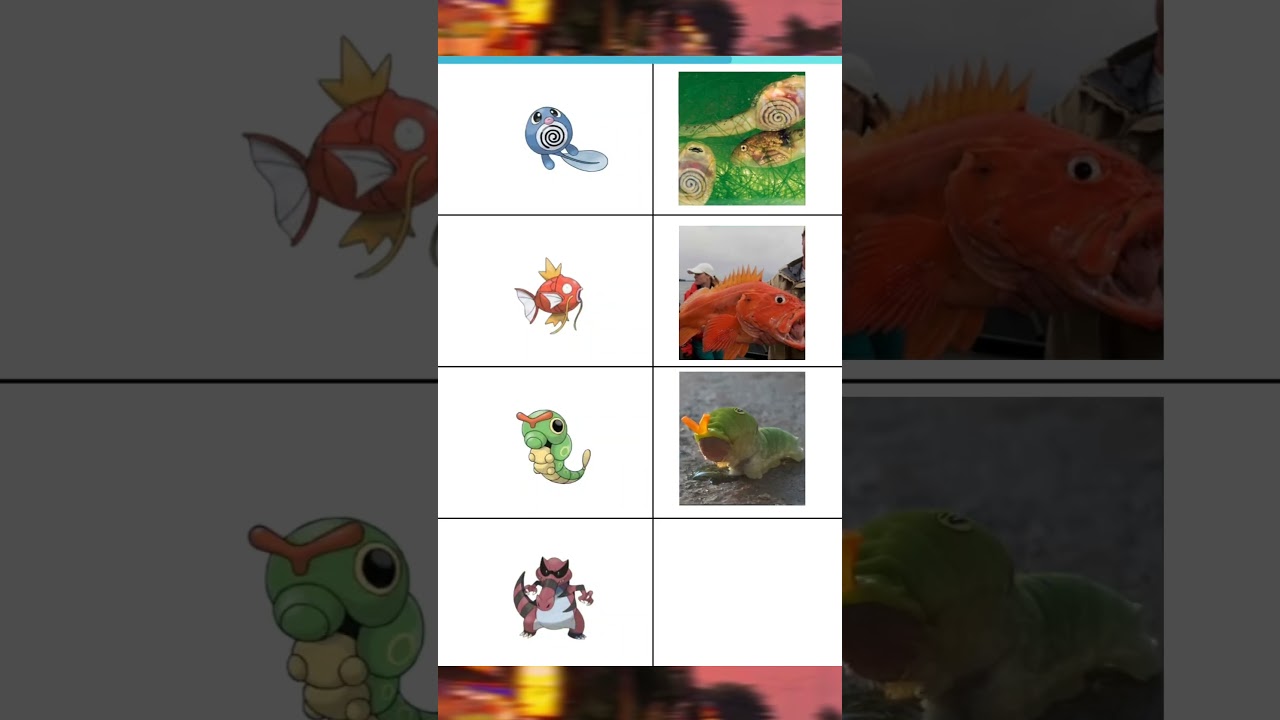 pokemon x real life. item 4/ 100 