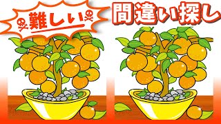 ◤◢◤◢ミカンのイラストで楽しく脳のトレーニング◤◢◤◢【集中力強化】1005