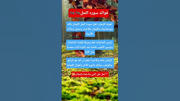 فوائد سوره النمل 🐜🐜#قرآن #اكسبلور #اقنباسات #استوريات #معلومات #لايك